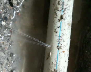滨海卫生间测漏水多少钱